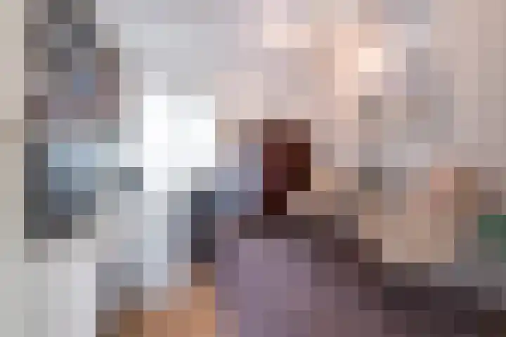 de Klencke 2 Norg thumbnail 16