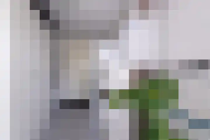 de Klencke 2 Norg thumbnail 18