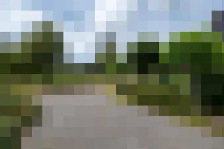 de Klencke 2 Norg foto 2