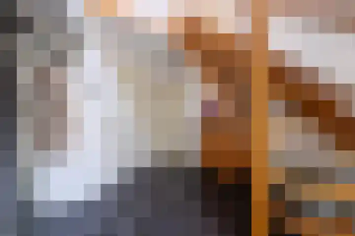 de Klencke 2 Norg thumbnail 23