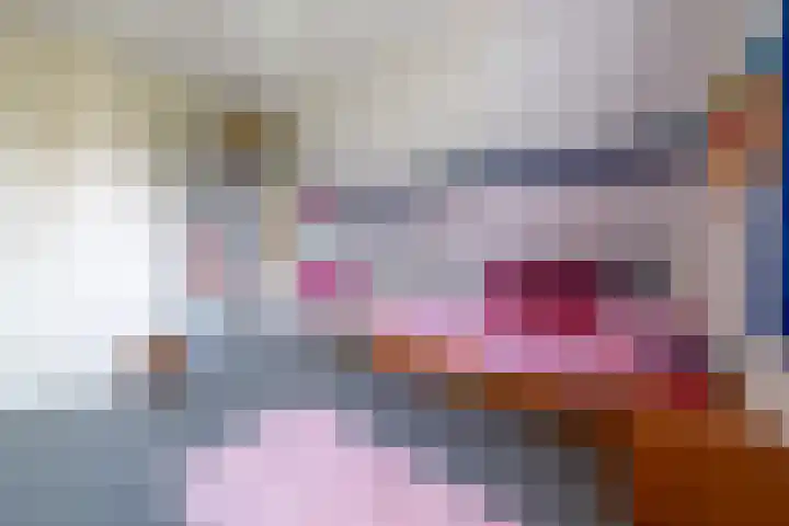 de Klencke 2 Norg thumbnail 25