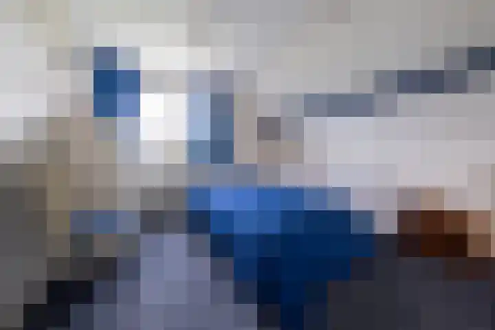 de Klencke 2 Norg thumbnail 26