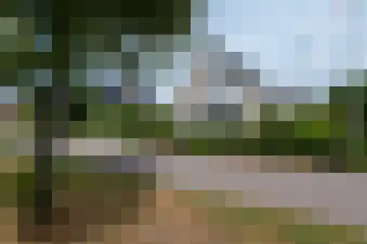 de Klencke 2 Norg thumbnail 38