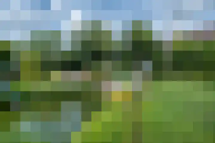 de Klencke 2 Norg thumbnail 41