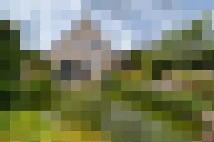de Klencke 2 Norg thumbnail 43