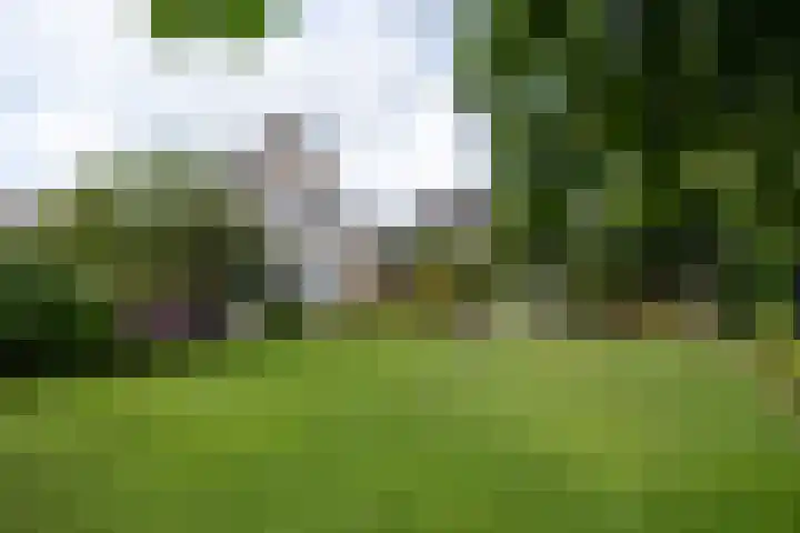 de Klencke 2 Norg thumbnail 45