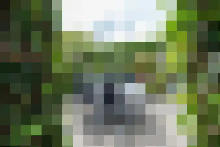 de Klencke 2 Norg thumbnail 46