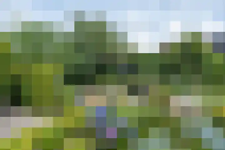 de Klencke 2 Norg thumbnail 47