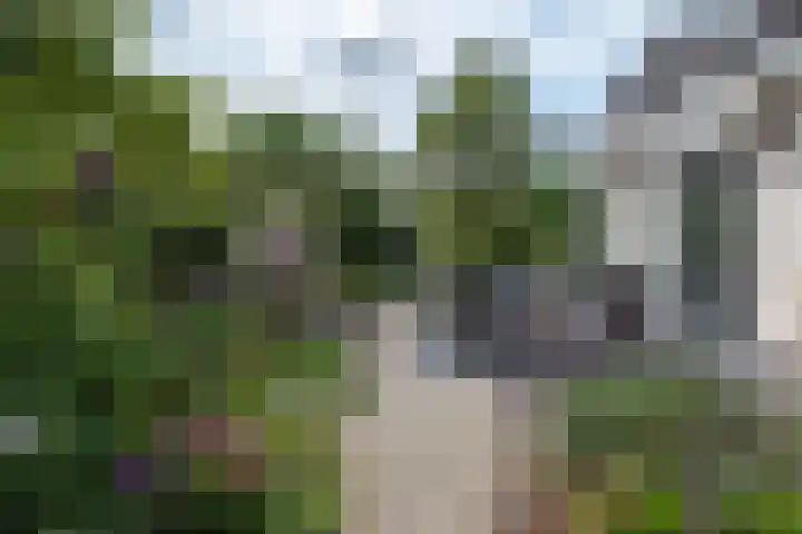 de Klencke 2 Norg thumbnail 49