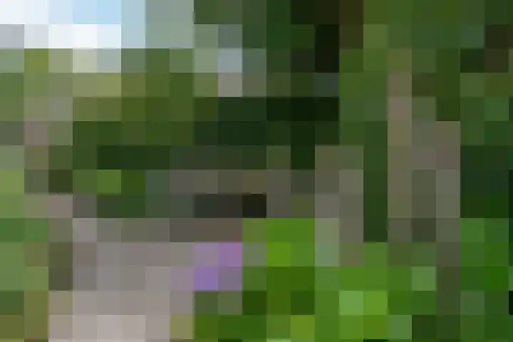 de Klencke 2 Norg thumbnail 50