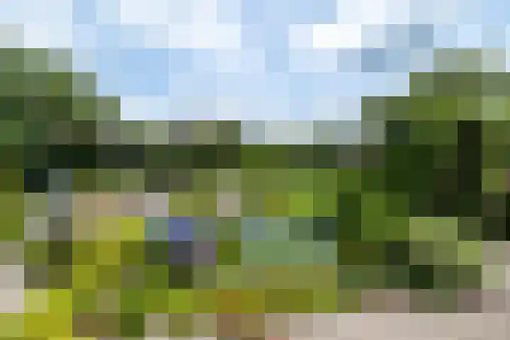 de Klencke 2 Norg thumbnail 53