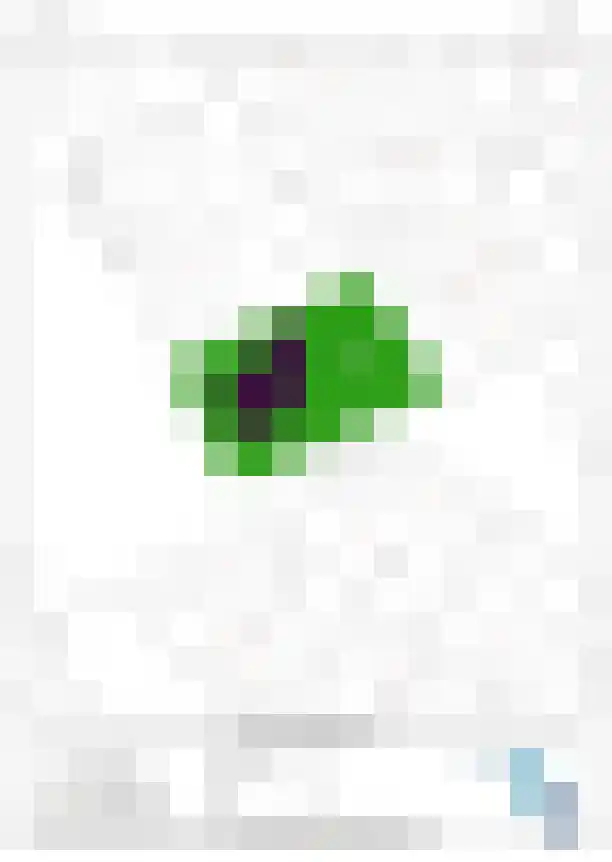 de Klencke 2 Norg thumbnail 59