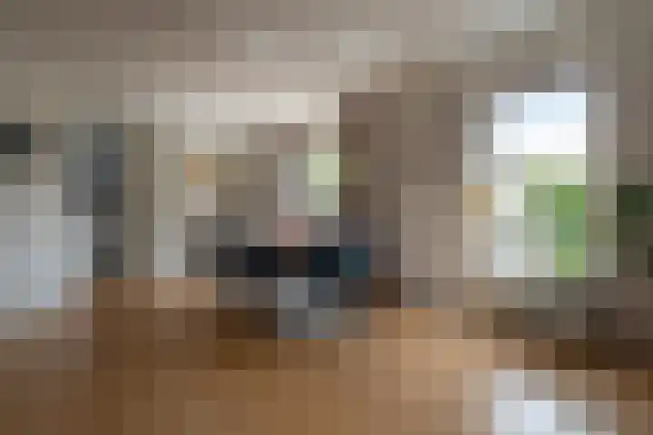 de Klencke 2 Norg thumbnail 6