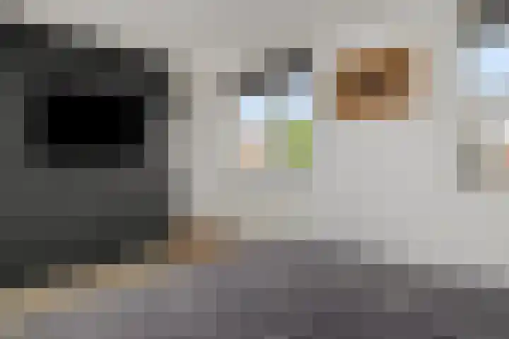 De Klencke 7 Meppel thumbnail 40