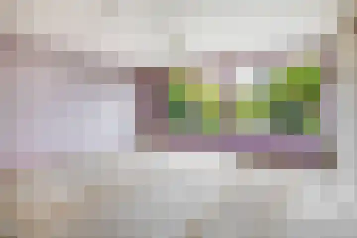 De Klencke 7 Meppel thumbnail 44
