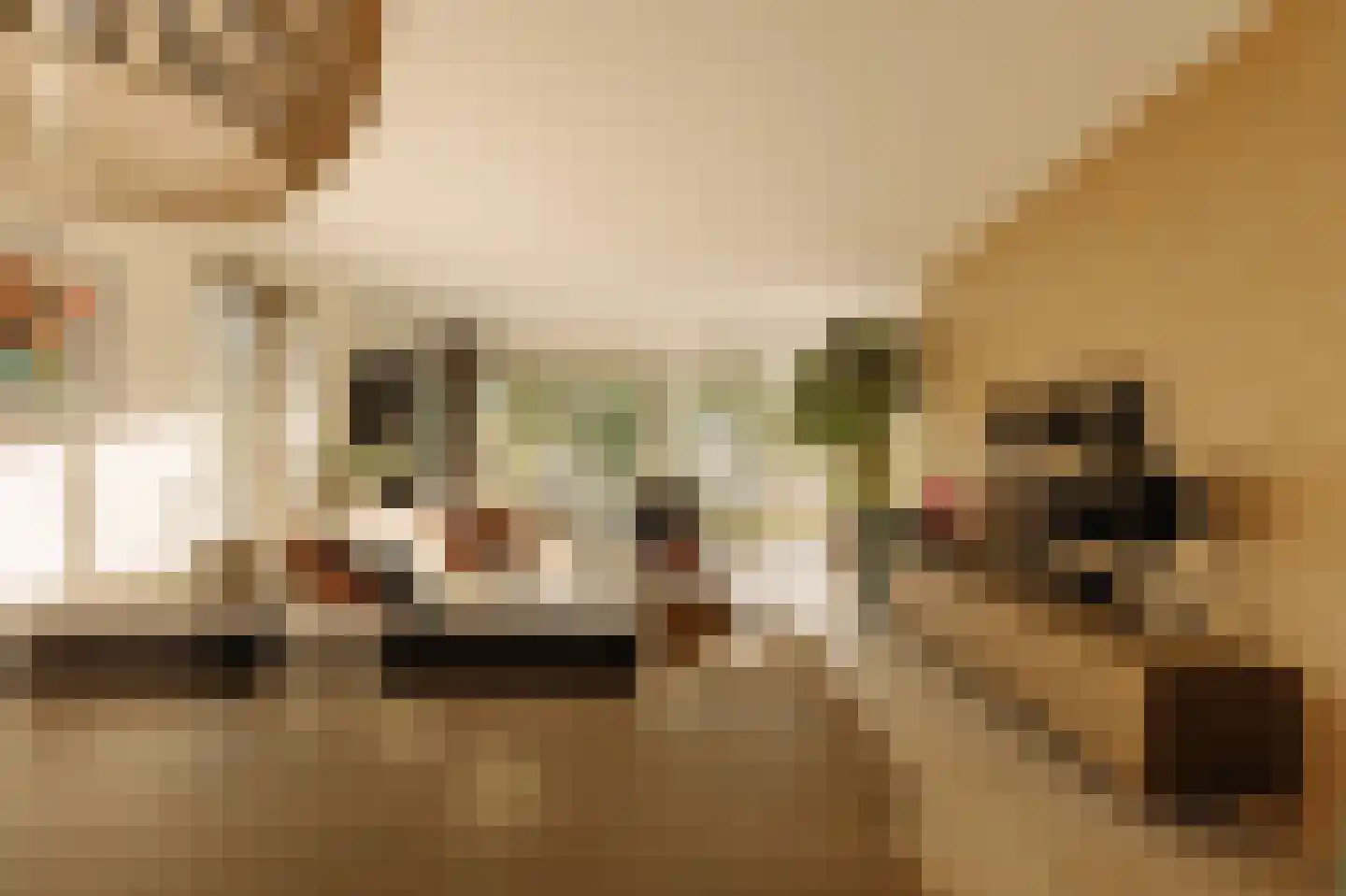De Klencke 87 A Amsterdam thumbnail 6
