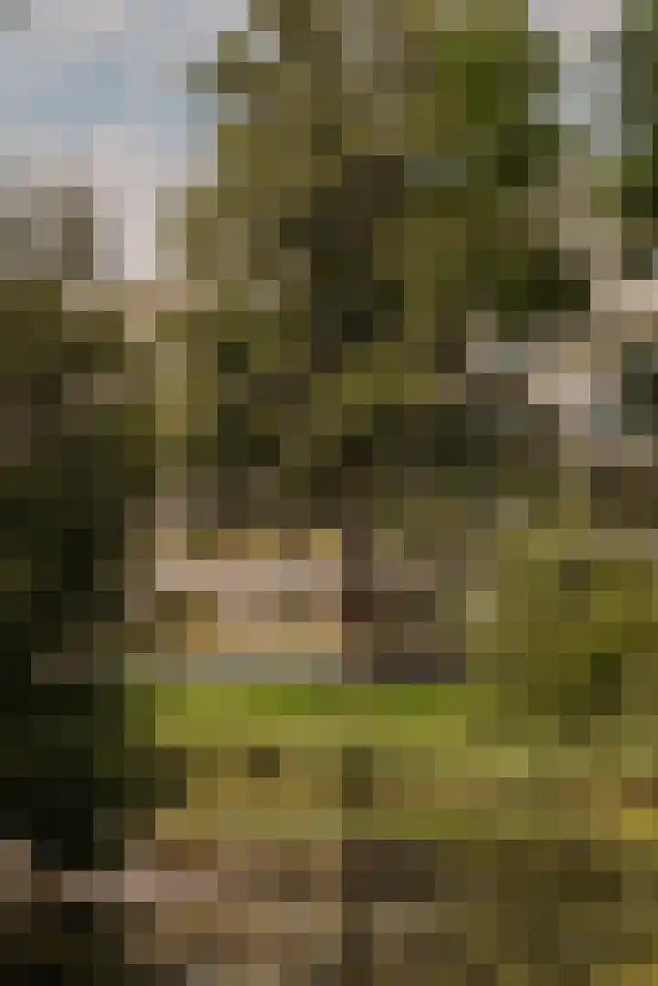 De Klencke 97 G Amsterdam thumbnail 32