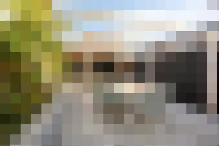 De Kline 22 Bitgum thumbnail 27