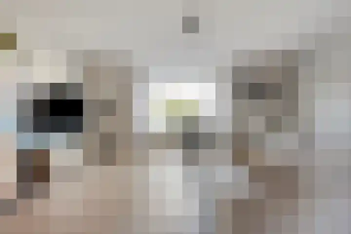 De Kline 22 Bitgum thumbnail 8