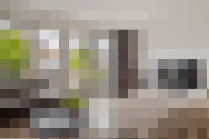 De Klingelenberg 21 Tuil thumbnail 15