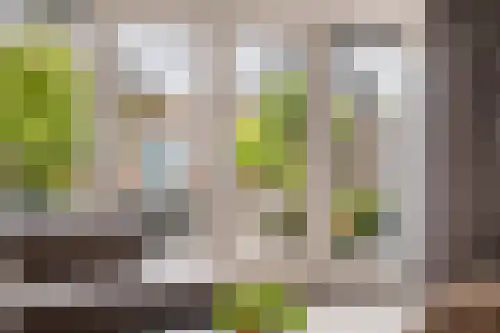 De Klingelenberg 21 Tuil thumbnail 16