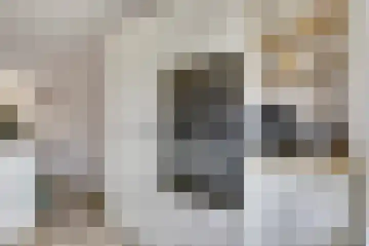 De Klingelenberg 21 Tuil thumbnail 17