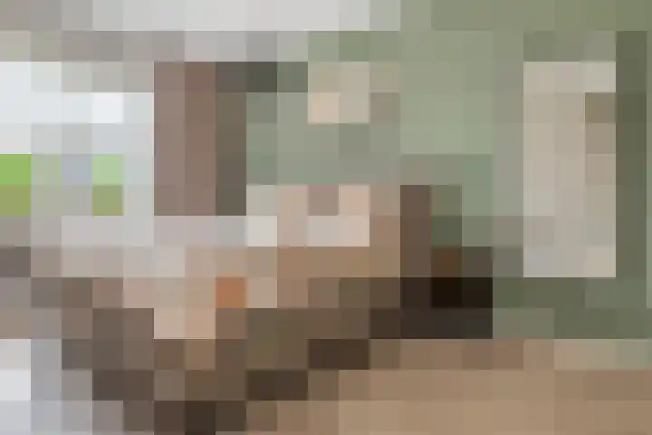 De Klingelenberg 21 Tuil thumbnail 21