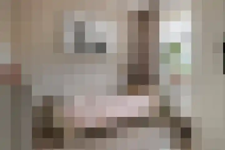 De Klingelenberg 21 Tuil thumbnail 24