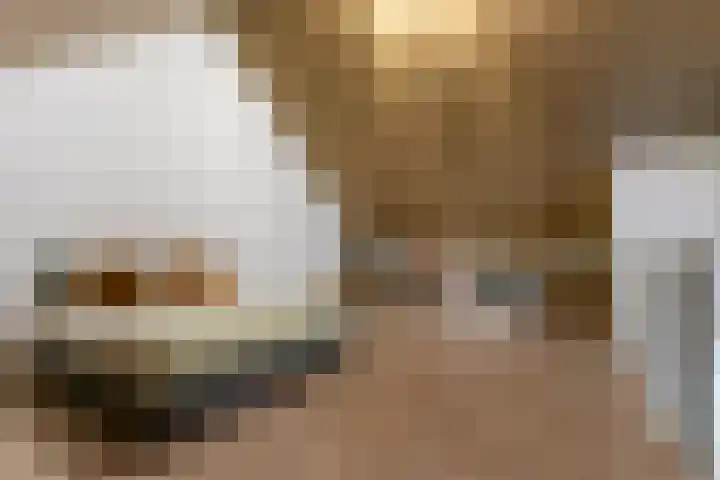De Klingelenberg 21 Tuil thumbnail 29