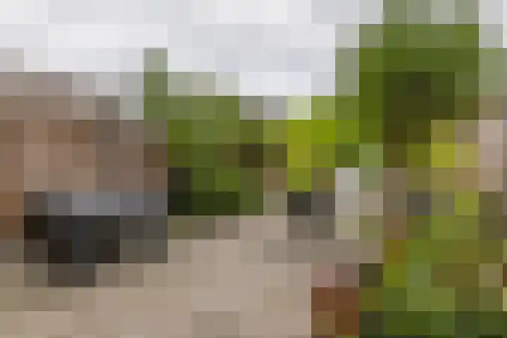 De Klingelenberg 21 Tuil thumbnail 32
