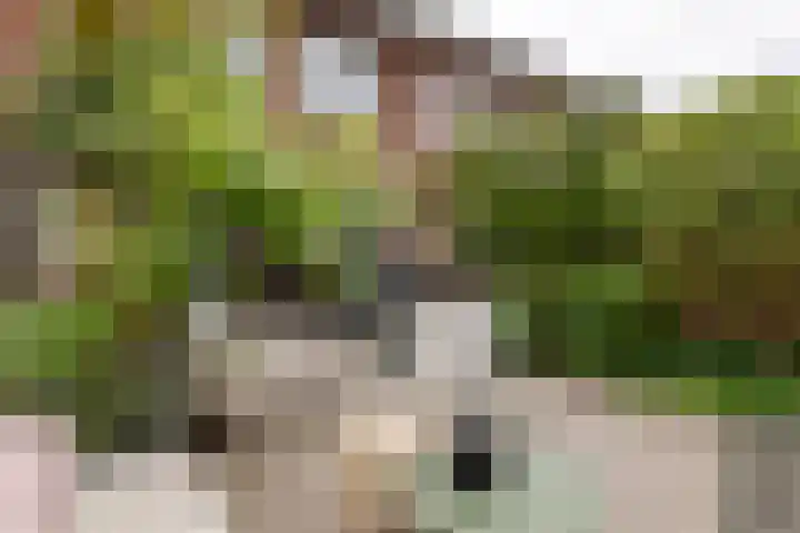 De Klingelenberg 21 Tuil thumbnail 34