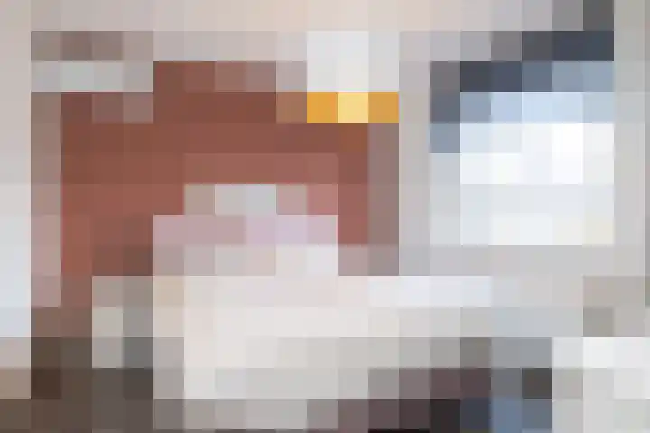 De Klingelenberg 21 Tuil thumbnail 36