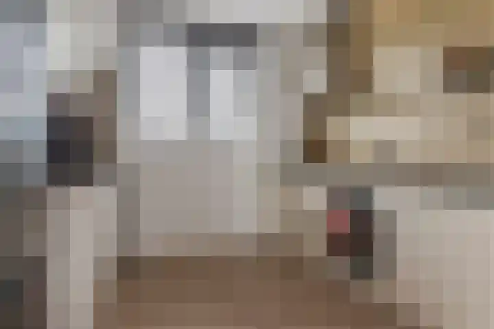 De Klingelenberg 21 Tuil thumbnail 4