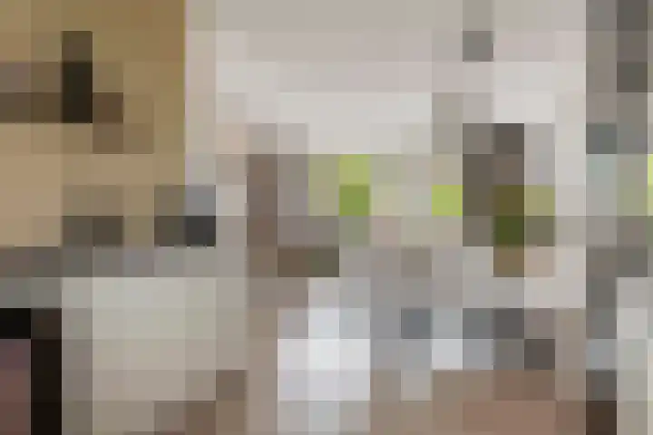 De Klingelenberg 21 Tuil thumbnail 5