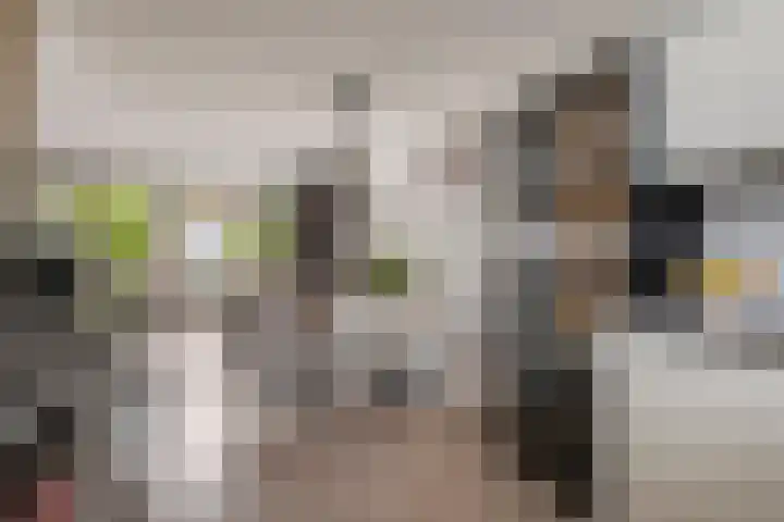 De Klingelenberg 21 Tuil thumbnail 6