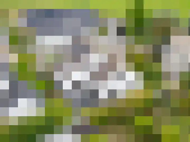 De Klingelenberg 21 Tuil thumbnail 7