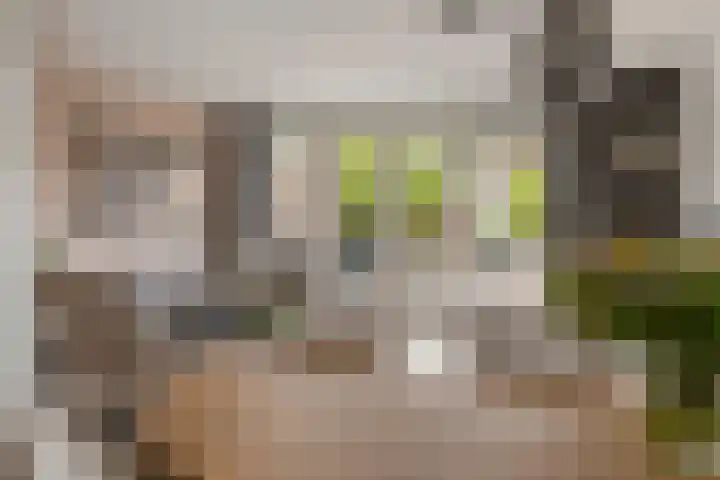 De Klingelenberg 21 Tuil thumbnail 8