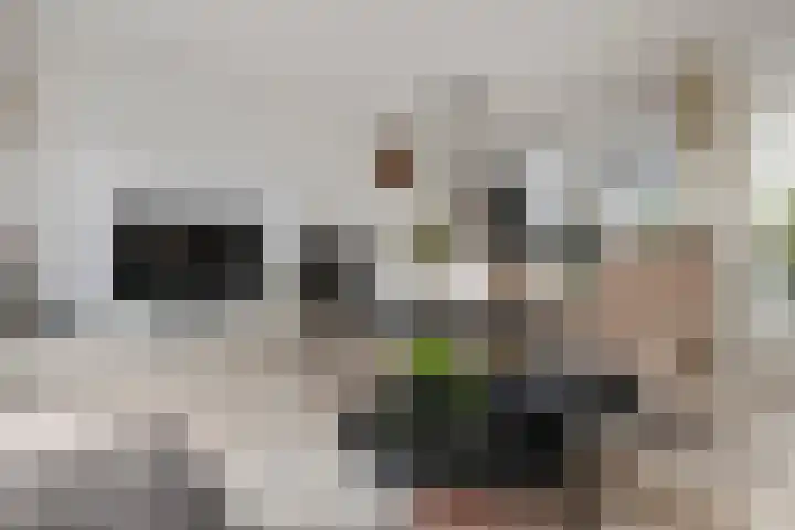 De Klingelenberg 21 Tuil thumbnail 9