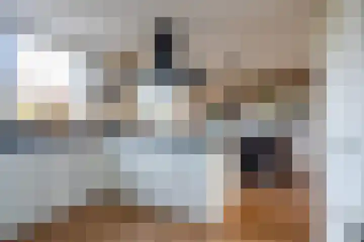 De Klomp 23 Winterswijk Miste thumbnail 12