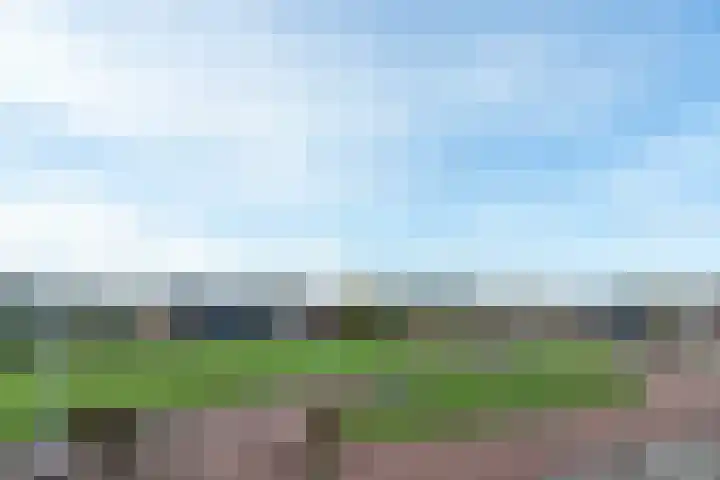 De Klomp 23 Winterswijk Miste thumbnail 4