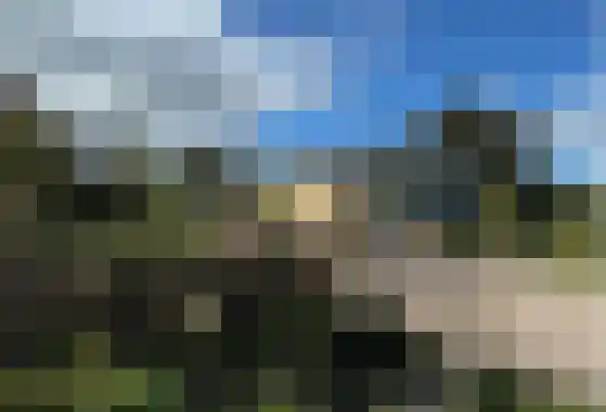 De Klonjes 13 Nes