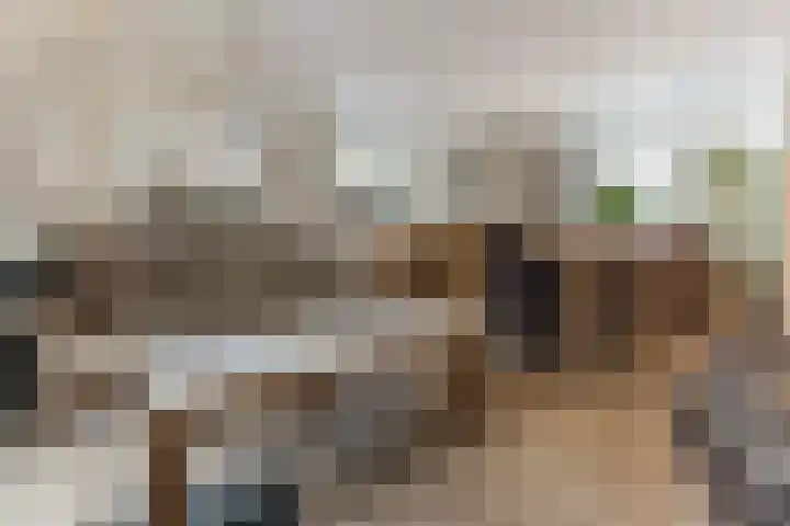 de Kluis 20 Heeze thumbnail 29