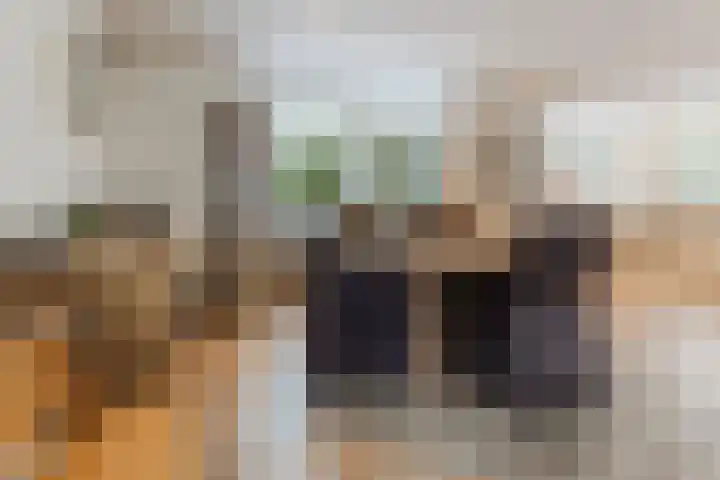 de Kluis 20 Heeze thumbnail 31
