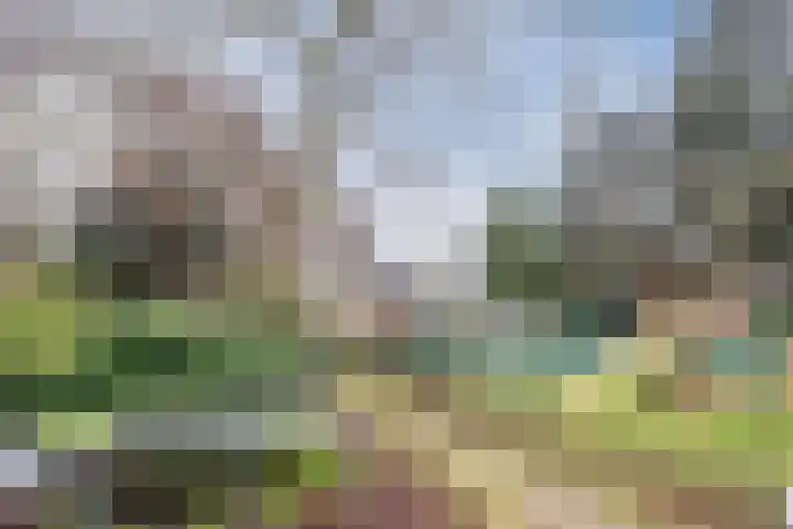 de Kluis 20 Heeze thumbnail 40