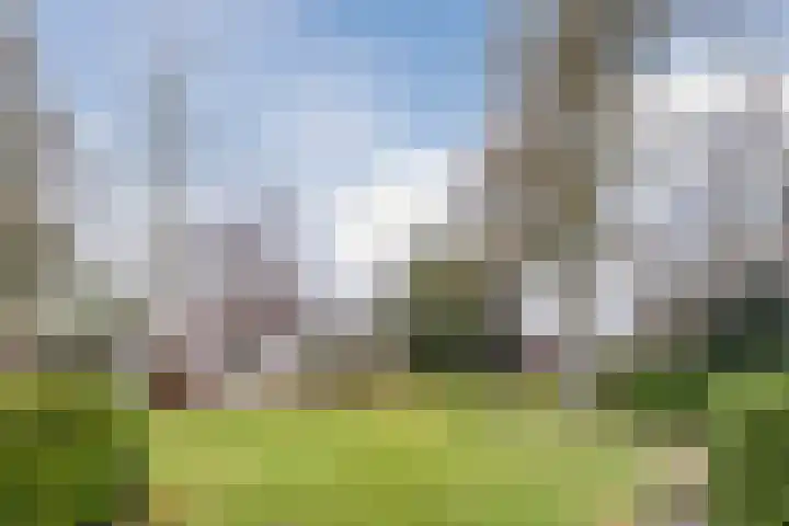 de Kluis 20 Heeze thumbnail 42
