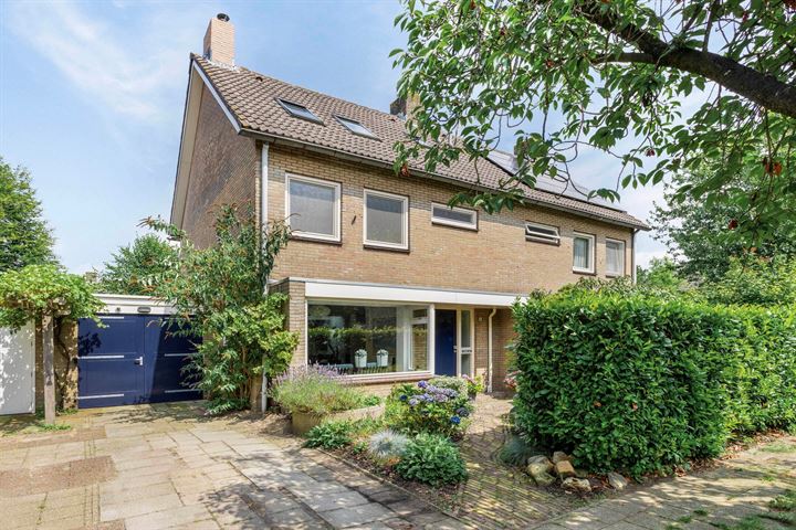 de Knobbe 4 in Heino foto