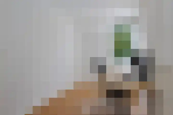 De Knolraap 35 Heesch thumbnail 12