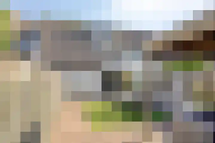 De Knolraap 35 Heesch thumbnail 20