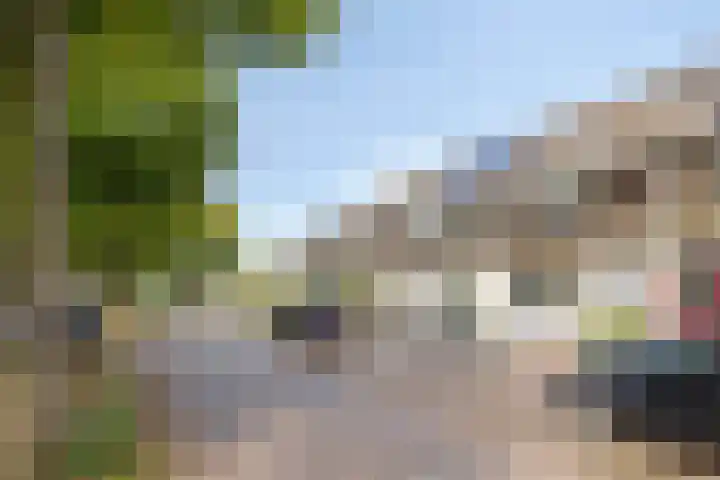 De Knolraap 35 Heesch thumbnail 22