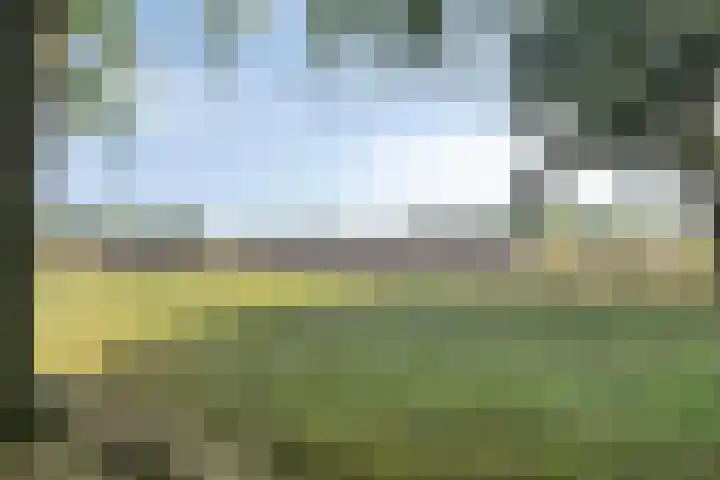 De Knolraap 35 Heesch thumbnail 26